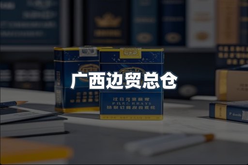 广西边贸总仓